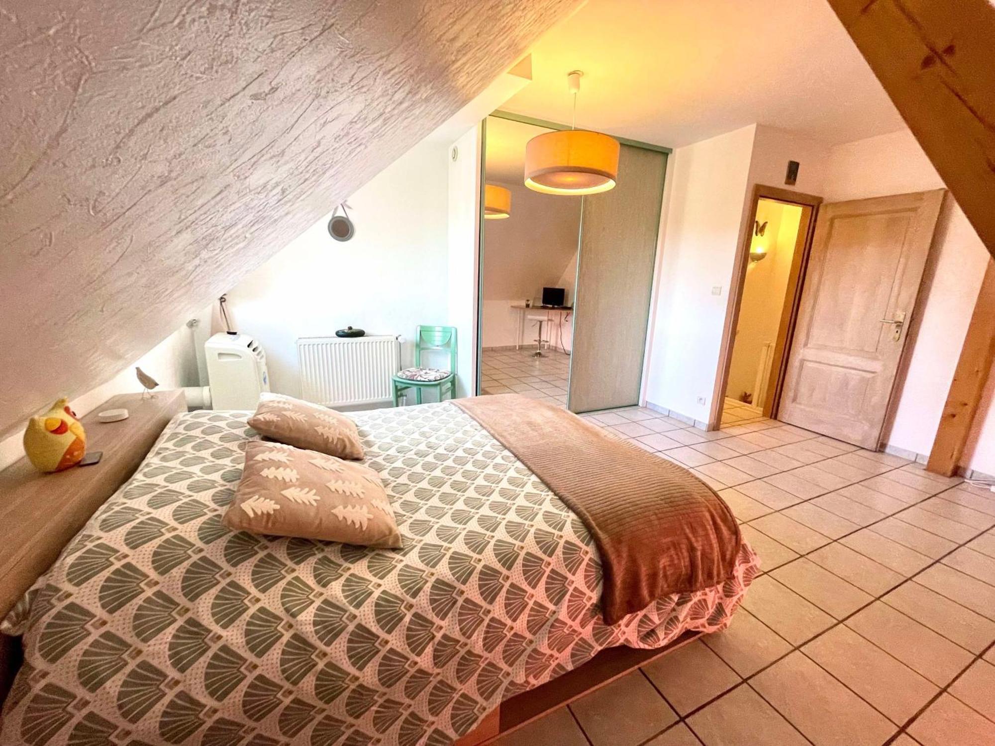 Le Papillon,Logement Cosy En Alsace Erstein Exterior photo